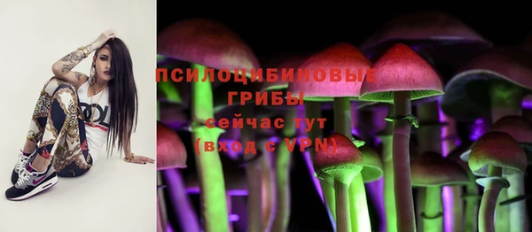 прущий лед Мегион