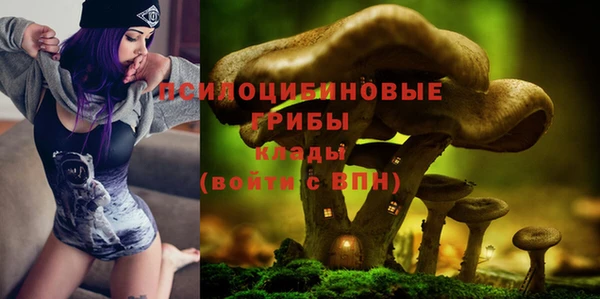 MDMA Premium VHQ Медвежьегорск