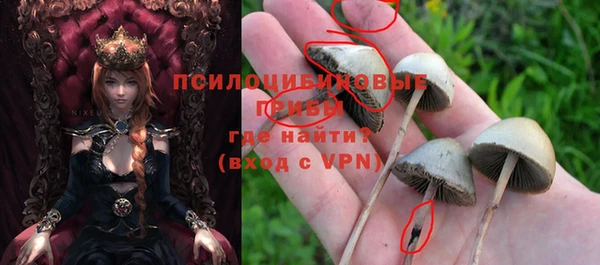 индика Михайловка