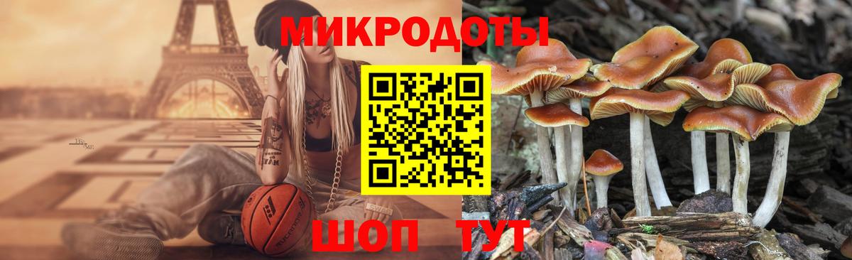 Псилоцибиновые грибы прущие грибы Нижний Тагил
