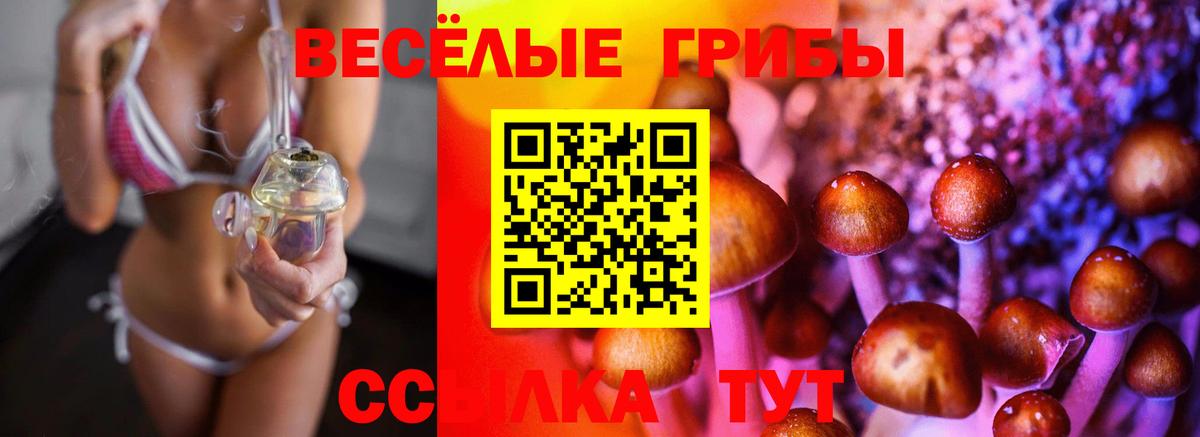 Галлюциногенные грибы мицелий  Вход с VPN  купить наркотики сайты  Нижний Тагил 